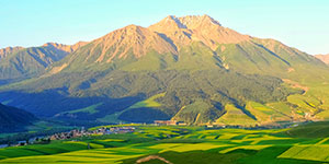 甘肅建投生態(tài)建設(shè)集團(tuán)有限公司隸屬于中國(guó)500強(qiáng)企業(yè)—甘肅省建設(shè)投資（控股）集團(tuán)有限公司，是甘肅建投貫徹落實(shí)“五位一體”總體布局和新發(fā)展理念，推進(jìn)生態(tài)治理板塊發(fā)展的新業(yè)態(tài)公司。